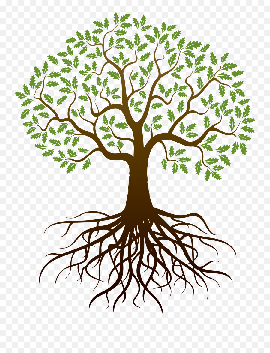 Tree With Roots Png Clipart - Transparent Background Tree With Roots Png,Old Tree Png