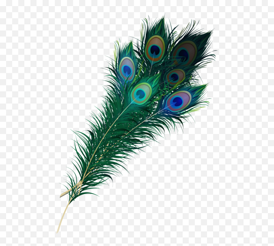 Feather Transparent Images - Peacock Feather Png Clipart,Feather Transparent Background
