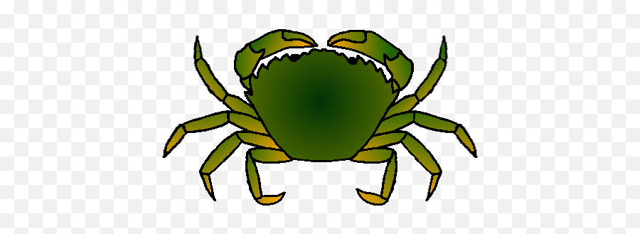 Fccp40 Fiddler Crab Clipart Png Today1580807984 - Green Crab Clip Art,Crab Transparent Background