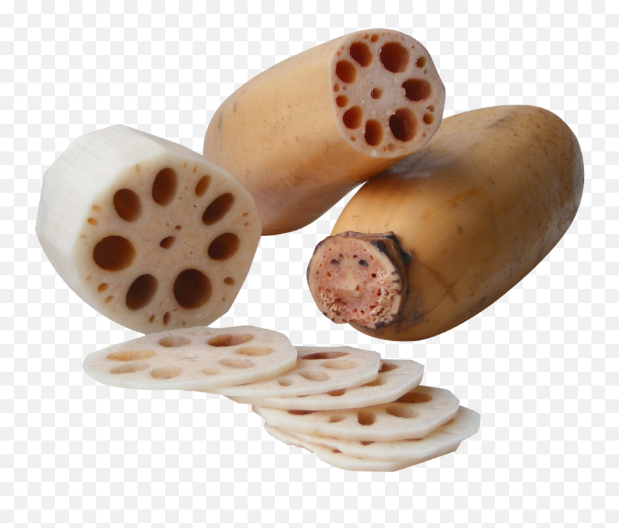 Download Lotus Root Png Image For Free - Lotus Root Png,Lotus Png