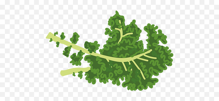 Home Thevegankids - Mustard Greens Png,Kale Png