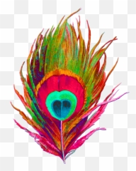 Peacock Feather No Bg Acid Pink - Peacock Feather Png Transparent,Peacock Png