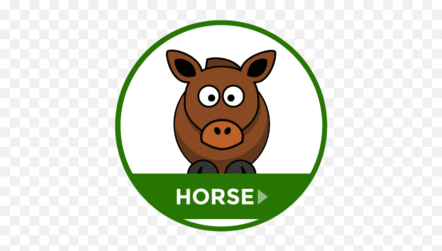 Index Of Images - Cartoon Animal Horse Clipart Png,Cartoon Horse Png