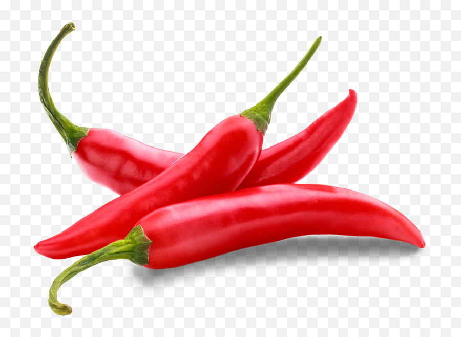 Chili Png - Transparent Background Red Chili Png,Chili Png