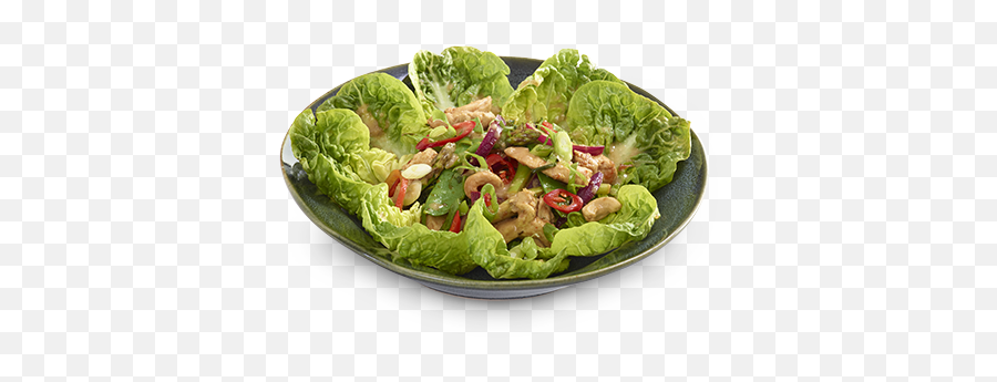 Wagamama Menu Salads - Warm Chilli Chicken Salad Wagamama Png,Salad Transparent Background