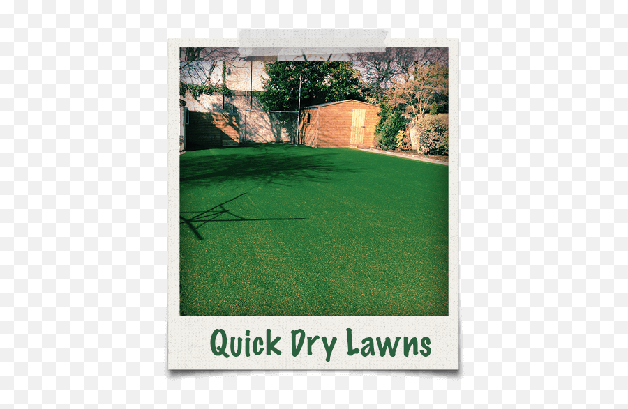 Artificial Grass Synthetic Fake - Mis Quince Png,Dry Grass Png