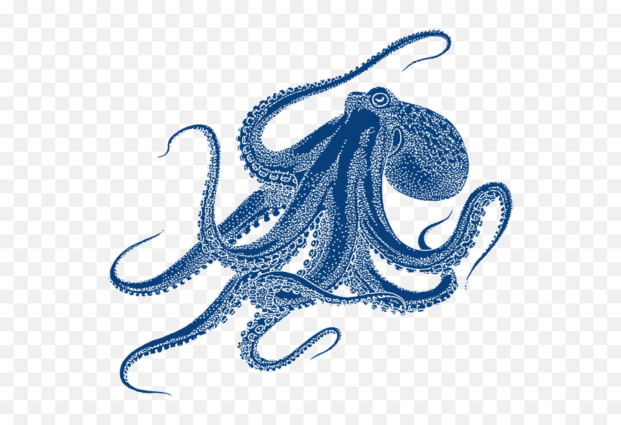 Clipart Octopus Watercolor - Octopus Drawing Png,Octopus Png