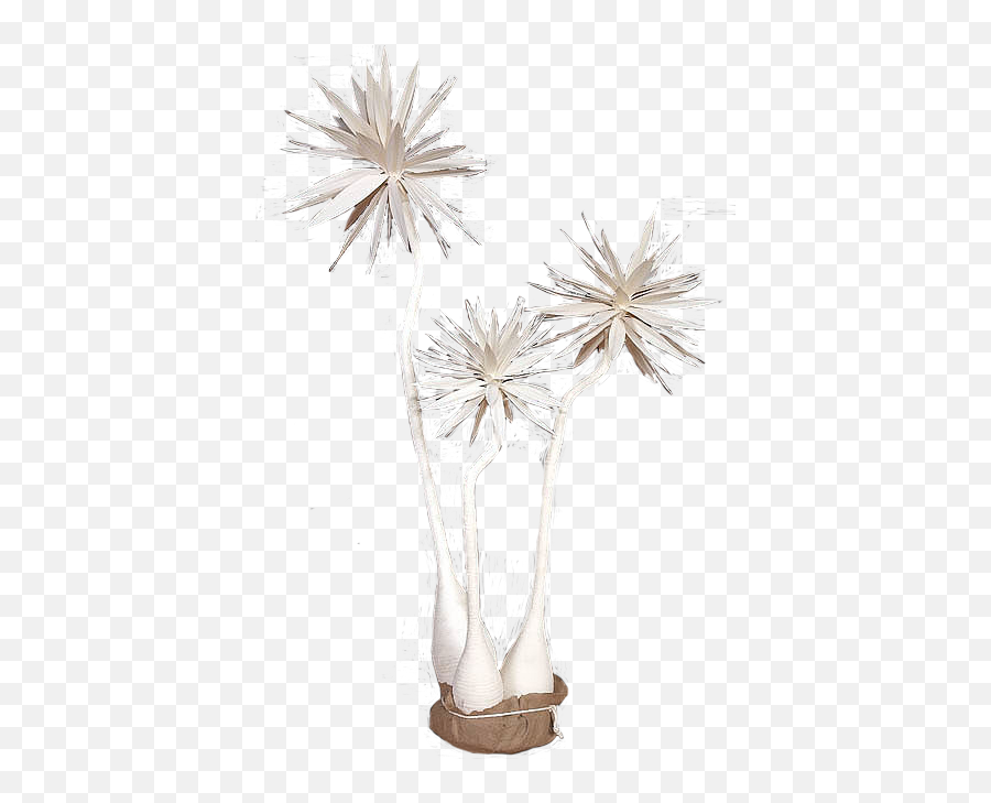 Faux Yucca Tree Cluster In The Event - Dandelion Png,Yucca Png