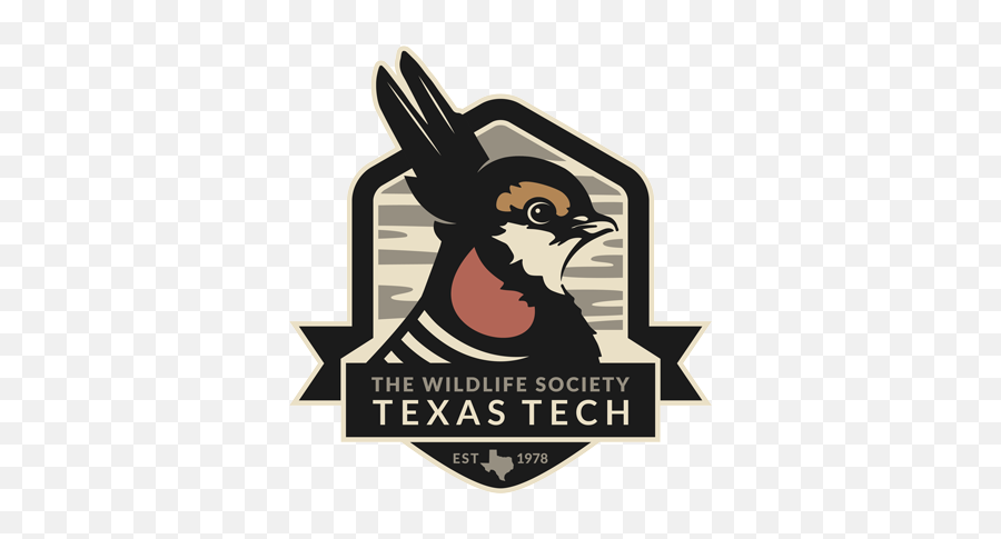 The Wildlife Society - Texas Tech Wildlife Society Png,Texas Tech Png