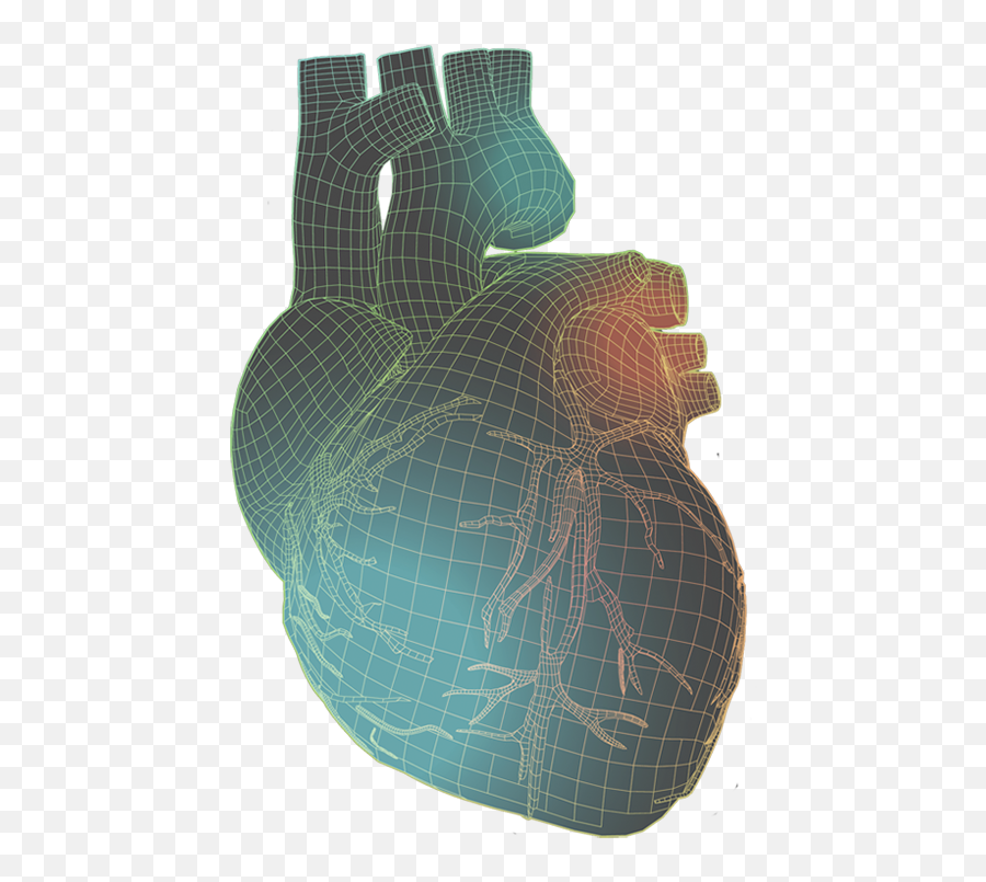 Human Heart Png - Human Heart With Colorful Wireframe Pottery,Human Heart Png