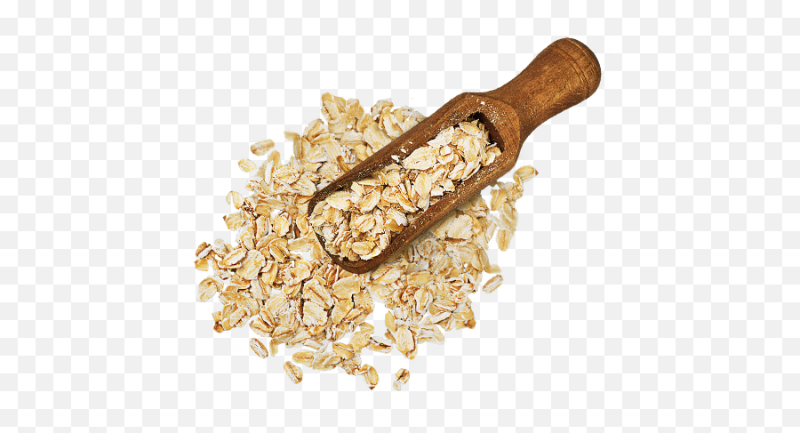 Feline Organix Chicken Brown Rice - Oatmeal Icon Png,Oatmeal Png