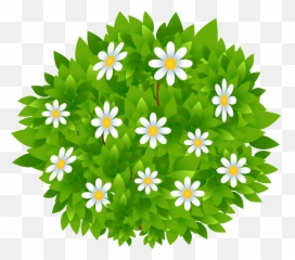 Bush Clipart Transparent Png