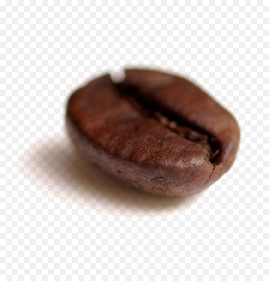 Filecoffee Bean Transparentpng - Wikimedia Commons My Birthstone Is A Coffee Bean,Cookies Transparent Background