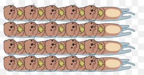 Otter Png - Sea Otter Clipart Transparent Sea Otter For Adult,Otter Png