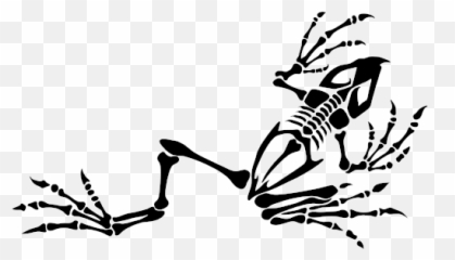 About U2014 Bone Frog Open - Navy Seal Frog Bones Png,Navy Seal Png
