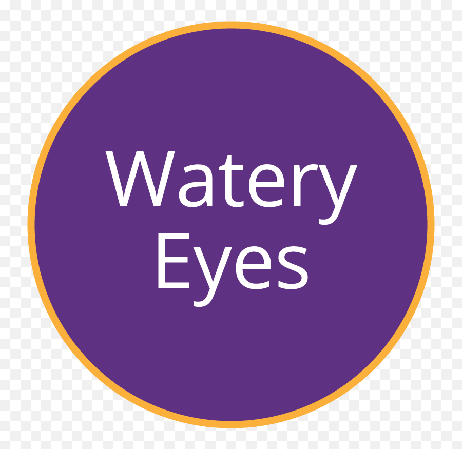 Ilux Dry Eye Treatment Urban Optiks Optometry - Bicentury Png,Yellow Eye Icon