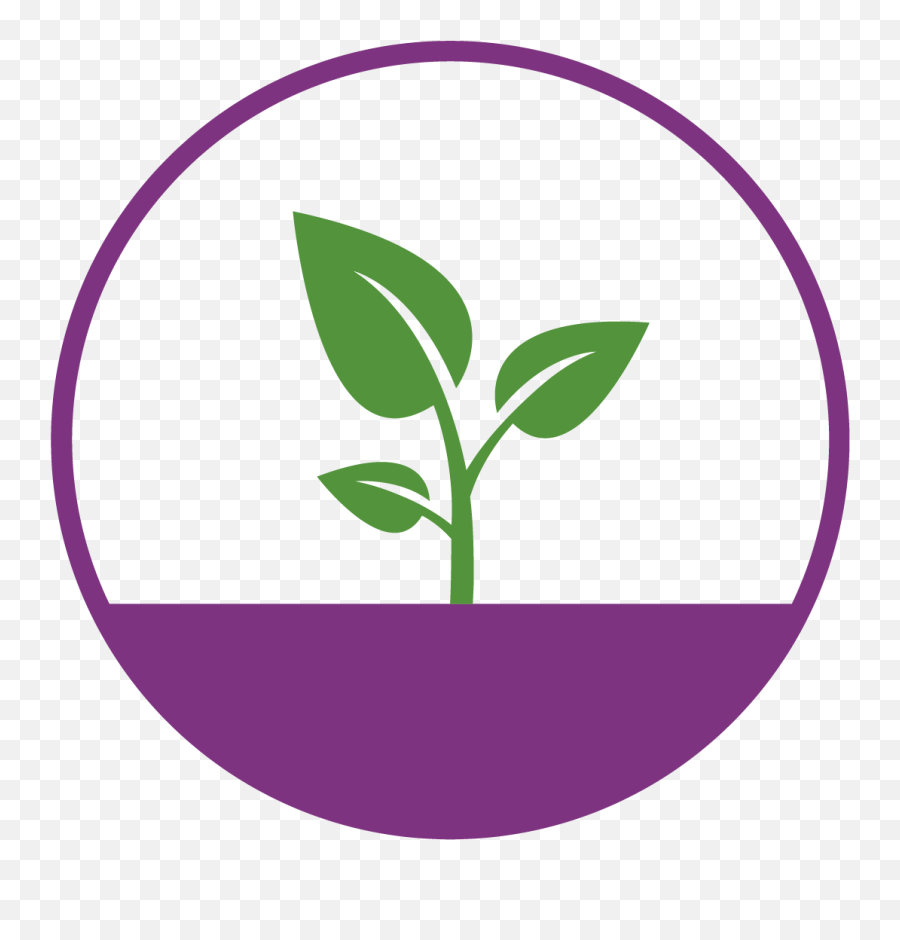 Purasolv Green Solvents - Graphic Sprout Roots Png,The Green Solution Icon