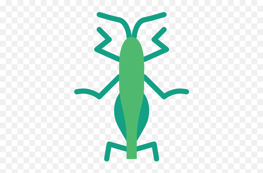 Grasshopper Png Icon - Agriculture,Grasshopper Png