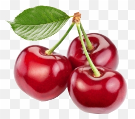 Cherries Png Transparent Background