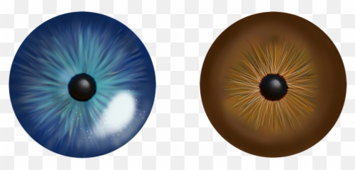 Eye Iris Blue Fish - Fish Eye Png,Cat Eye Png