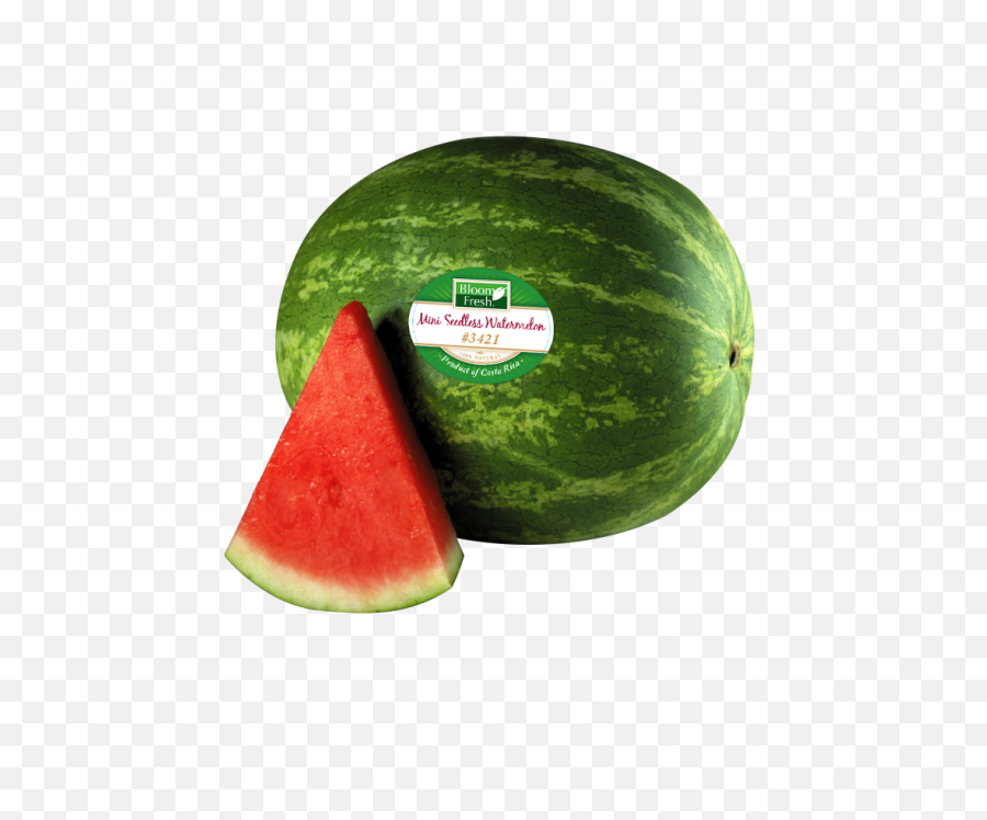 Download Watermelon Png Transparent Images - Watermelon Clip Watermelon Clip Art,Watermelon Png Clipart
