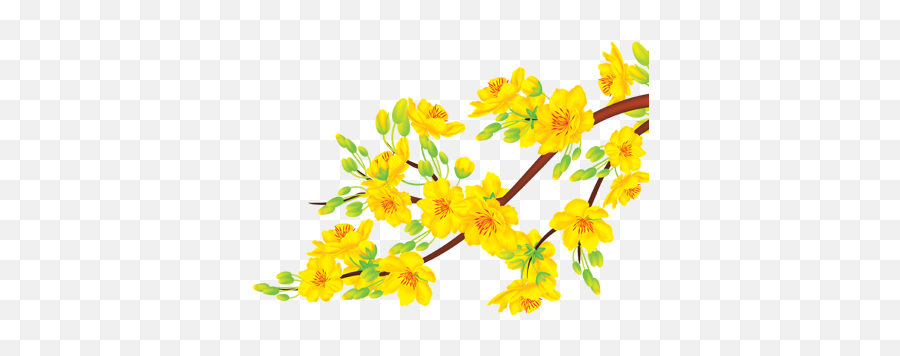 Ghim Ca Empty Trên Flowers Painting Trong 2020 Thc Vt - Yellow Apricot Blossom Png,Cherry Blossom Png
