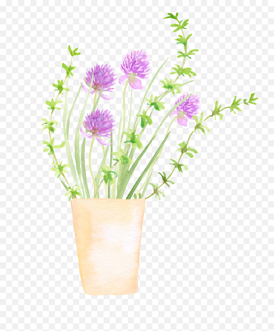 Download Spring Growing Plant Cartoon Transparent - Room Flowerpot Png,Plant Cartoon Png