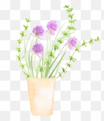 Download Spring Growing Plant Cartoon Transparent - Room Flowerpot png
