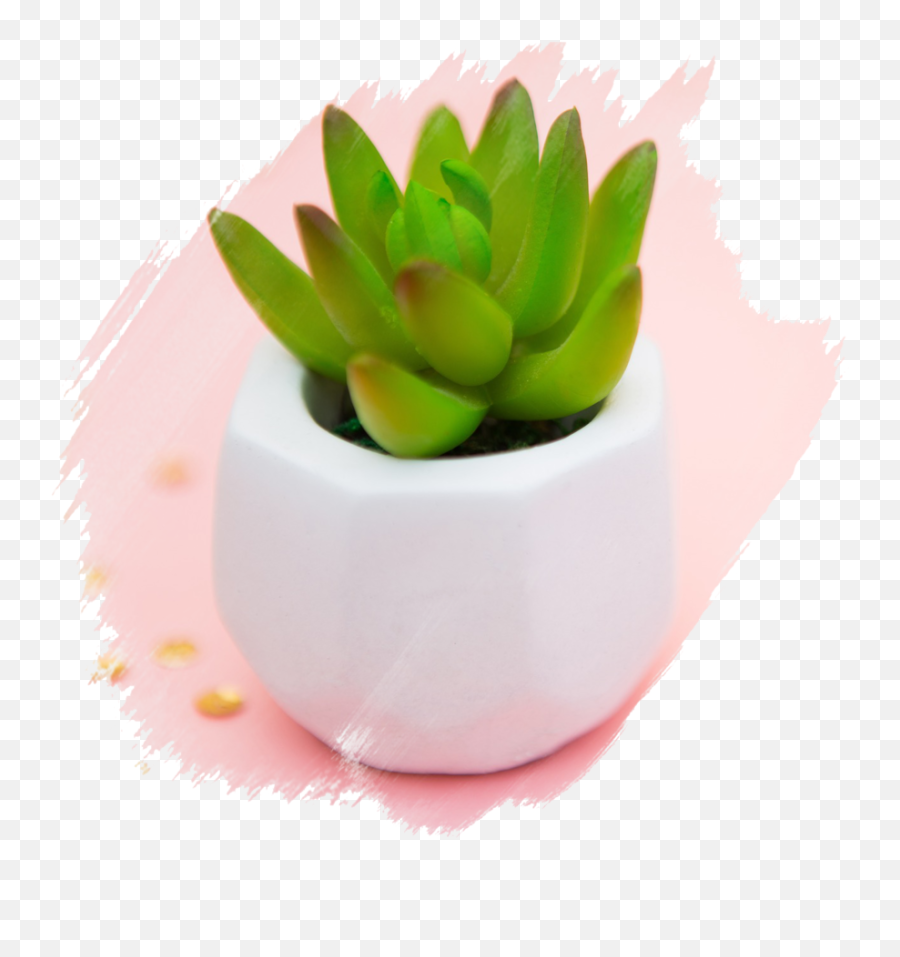 Succulent Png - Succulent Brushed Artificial Flower Succulent Plant,Succulent Png