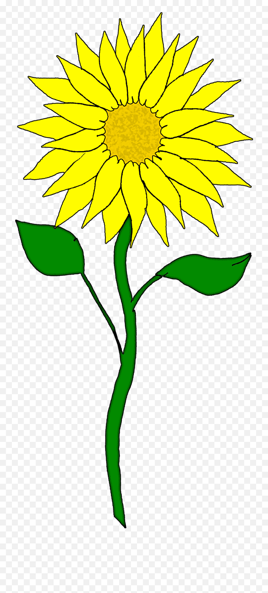 Download Sunflower Images 2 Png Image Clipart Free - Cliparts Sunflowers,Sun Flower Png