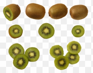 Kiwi Transparent Png File - Kiwis Png,Kiwi Transparent