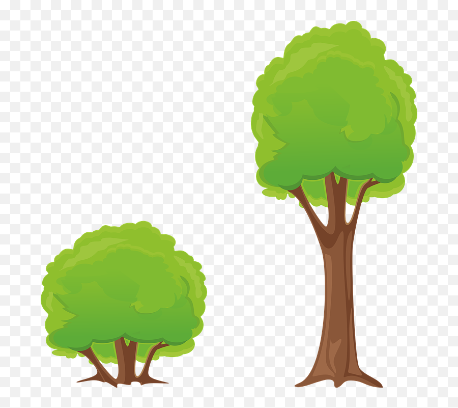Tree Bush Clipart - Tree And A Bush Png,Forest Clipart Png