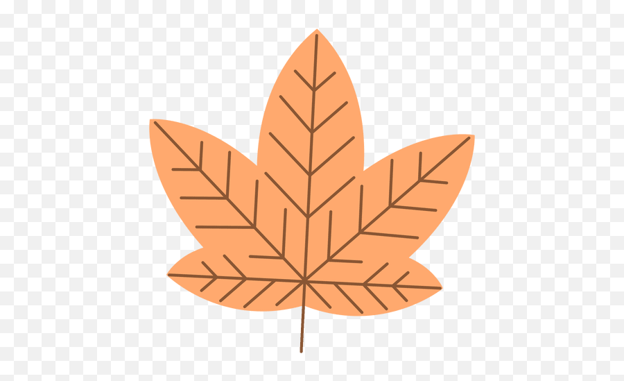 Orange Autumn Maple Leaf - Draw A Tobacco Plant Png,Autumn Transparent