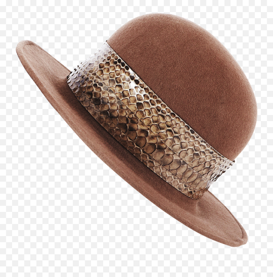 Trussardi Hat - Bronze Png,Gucci Hat Png