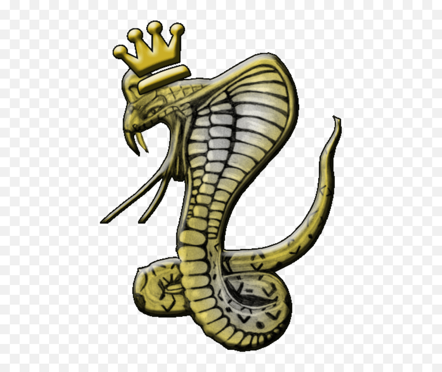 Snake Tattoo King Cobra Drawing - Snake Png Download 500 Trace A King Cobra,King Cobra Png