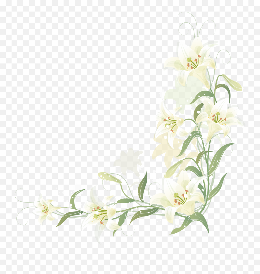 Transparent Lily Flower Border - Transparent Lily Flower Border Png,Lily Transparent