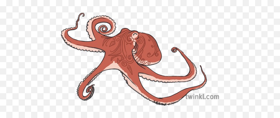 Taniwha Octopus Illustration - Twinkl Octopus Png,Octopus Png