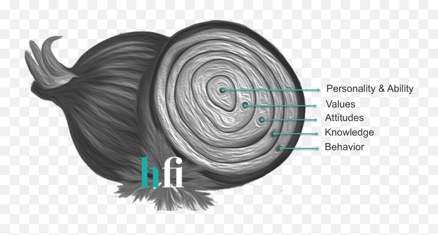 Work Behavior Explained By An Onion Hfinsight - Onion Model Of Behaviour Png,Onion Transparent Work Behavior Explained By An Onion Hfinsight - Onion Model Of Behaviour Png,Onion Transparent