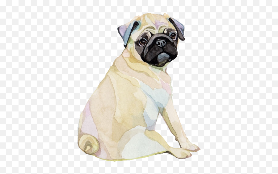 Pin De Ines Guarderas En Art Dibujo Animales Dibujos - Pug Watercolour Png,Pug Png