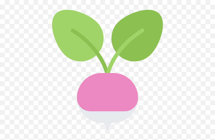 Radish - Expat In Croatia Clip Art Png,Radish Png