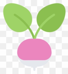 Radish - Expat In Croatia Clip Art Png,Radish Png