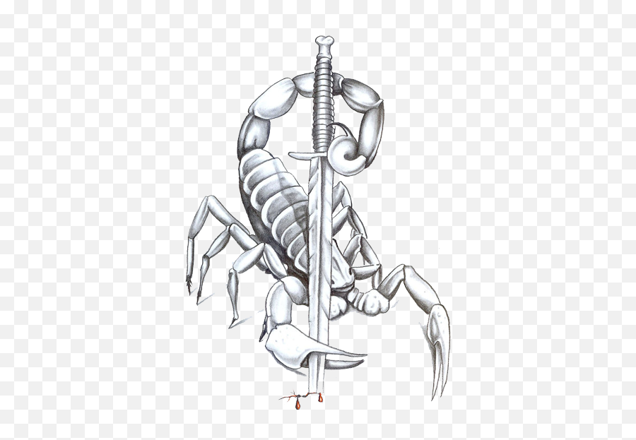 Scorpion Tattoos Free Download Png All - Scorpion Tattoos,Scorpion Png