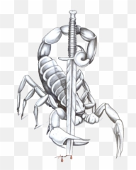 Scorpion Tattoos Free Download Png All - Scorpion Tattoos,Scorpion Png