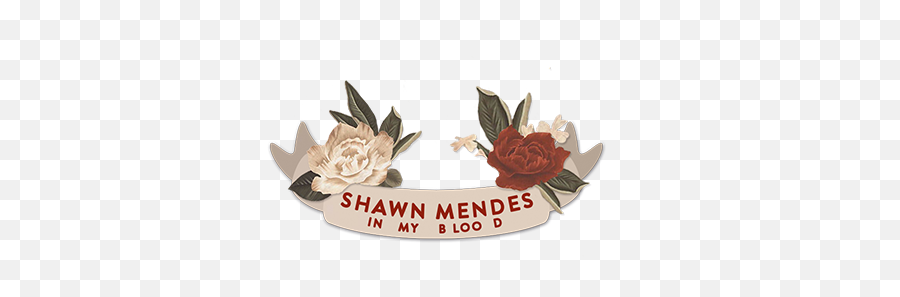 Shawn Mendes - Shawn Mendes In My Blood Png,Shawn Mendes Png