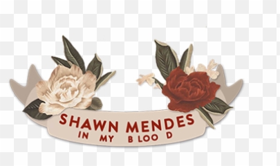 Shawn Mendes - Shawn Mendes In My Blood Png,Shawn Mendes Png