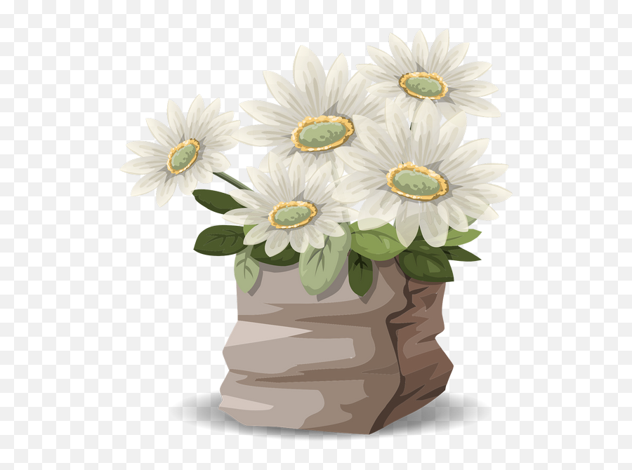 Flowers Daisies Bouquet White Transparent Png Images U2013 Free - Png,White Daisy Png