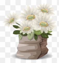 Flowers Daisies Bouquet White Transparent Png Images U2013 Free - Png,White Daisy Png