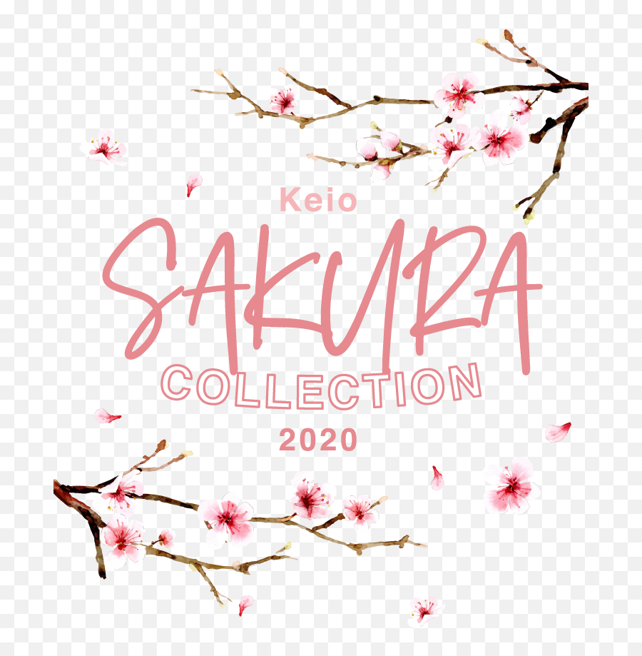 Sakura Collection 2020keio Department Store Shinjuku Tokyo - Twig Png,Sakura Transparent