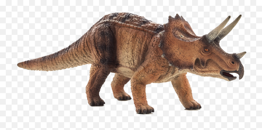 Triceratops - Triceratops Mojo Png,Triceratops Png