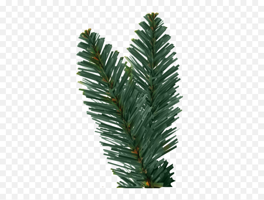 Christmas Tree Branch Png 1 Image - Christmas Tree Leaves Transparent Png,Christmas Tree Branch Png